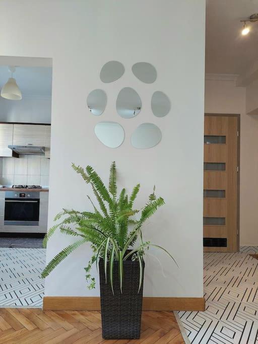Domin Domin Apartment Częstochowa Екстериор снимка
