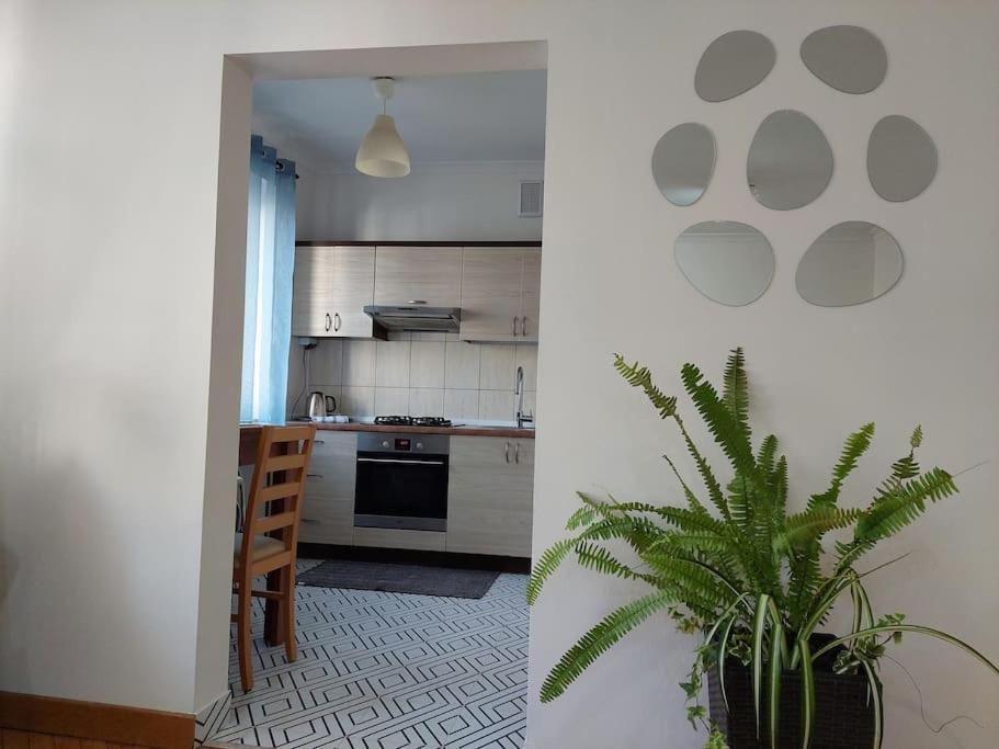 Domin Domin Apartment Częstochowa Екстериор снимка